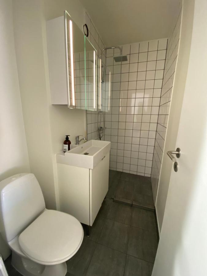 Central Copenhagen Apt With Balcony, Free Parking W Elevator Экстерьер фото